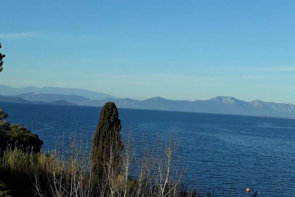 Amazing Sea View-Neos Pyrgos Beach -Evoia Greece เนออส ปีร์กอส ภายนอก รูปภาพ