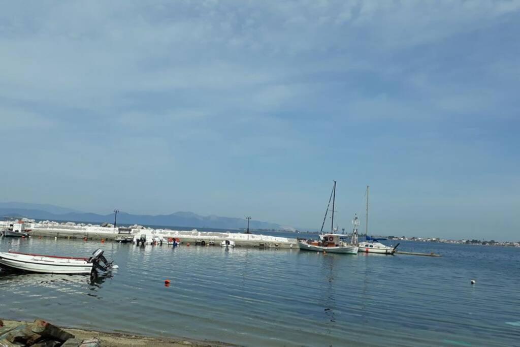 Amazing Sea View-Neos Pyrgos Beach -Evoia Greece เนออส ปีร์กอส ภายนอก รูปภาพ