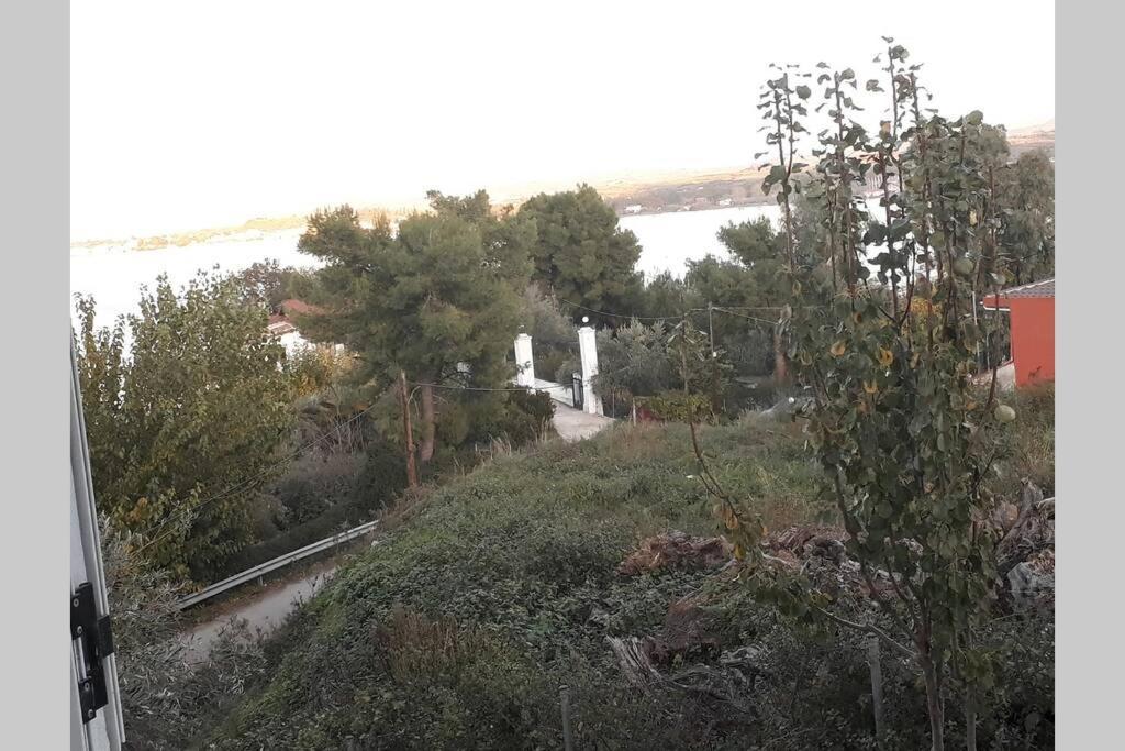 Amazing Sea View-Neos Pyrgos Beach -Evoia Greece เนออส ปีร์กอส ภายนอก รูปภาพ