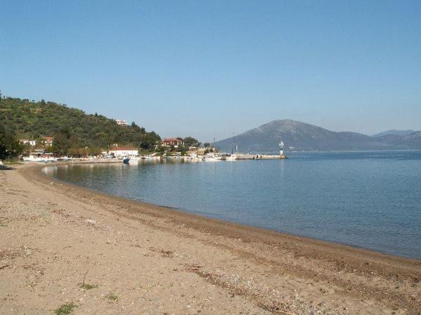 Amazing Sea View-Neos Pyrgos Beach -Evoia Greece เนออส ปีร์กอส ภายนอก รูปภาพ