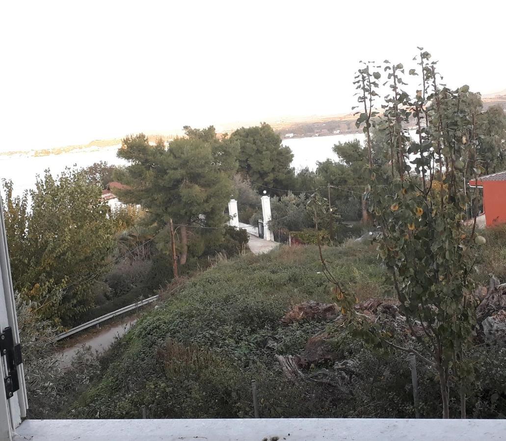 Amazing Sea View-Neos Pyrgos Beach -Evoia Greece เนออส ปีร์กอส ภายนอก รูปภาพ